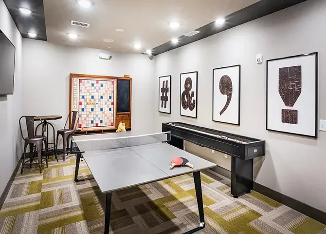 Shadow Concrete Ping Pong (indoor/outdoor)