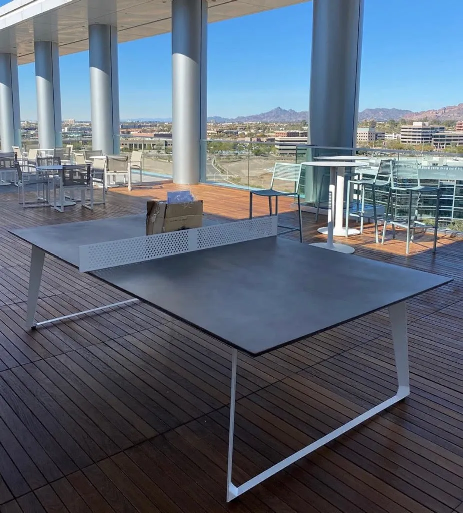 Shadow Concrete Ping Pong (indoor/outdoor)