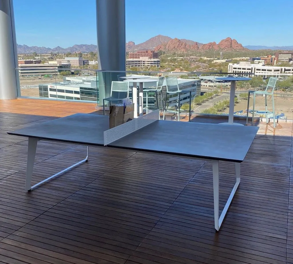 Shadow Concrete Ping Pong (indoor/outdoor)